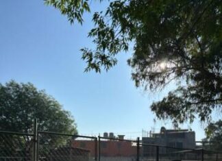 DESCARGA DEL OOAPAS INUNDA LA PARTE NORTE DEL ZOO DE MORELIA; AFECTADOS, 50 EJEMPLARES