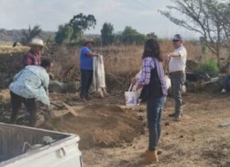 SADERMA OFRECE ASESORAMIENTOS A PRODUCTORES AGRÍCOLAS