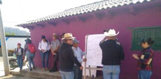 CON ESTAS ACCIONES COMUNIDADES SE PUEDEN SUMAR AL RESCATE DEL LAGO DE PÁTZCUARO
