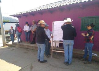 CON ESTAS ACCIONES COMUNIDADES SE PUEDEN SUMAR AL RESCATE DEL LAGO DE PÁTZCUARO