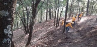 BRIGADISTAS ATIENDEN 2 INCENDIOS FORESTALES EN COALCOMÁN-CHINICUILA Y ERONGARÍCUARO