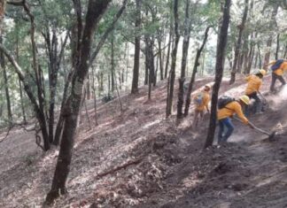 BRIGADISTAS ATIENDEN 2 INCENDIOS FORESTALES EN COALCOMÁN-CHINICUILA Y ERONGARÍCUARO