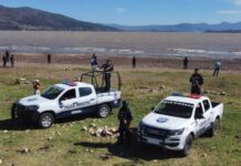 Hay 6 zonas con mayor “huachicoleo” de agua en el lago de Pátzcuaro