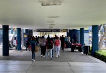 De manera inédita la UMSNH incentiva la investigación en las y los estudiantes