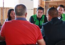 Exige Partido Verde se investigue a fondo muerte de jaguar melánico
