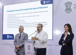 Compleja, situación del lago de Pátzcuaro; detectan principales causas de sequía