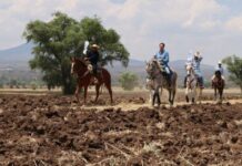 Tiripetío y Santiago Undameo agradecen a Alfonso por apoyo sin precedentes al campo