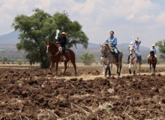 Tiripetío y Santiago Undameo agradecen a Alfonso por apoyo sin precedentes al campo
