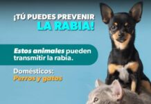 SSM VACUNA A TUS MASCOTAS PARA PROTEGERLAS CONTRA LA RABIA