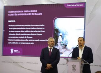 CON ACCIONES INTEGRALES, COMBATE FRONTAL AL DENGUE: SSM