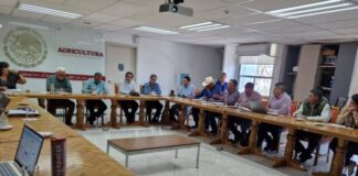 TRABAJAN PRODUCTORES Y AUTORIDADES POR LA TRAZABILIDAD DEL CULTIVO DE GUAYABA