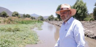 SE CONCRETA Y APLICA PROGRAMA DE PRESERVACIÓN DEL LAGO DE PÁTZCUARO: BEDOLLA