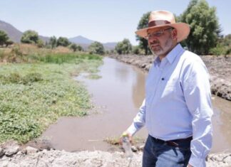 SE CONCRETA Y APLICA PROGRAMA DE PRESERVACIÓN DEL LAGO DE PÁTZCUARO: BEDOLLA