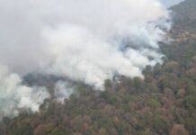 CONTROLADO UN 60 % EL INCENDIO FORESTAL EN PÁTZCUARO Y SALVADOR ESCALANTE