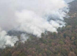 CONTROLADO UN 60 % EL INCENDIO FORESTAL EN PÁTZCUARO Y SALVADOR ESCALANTE