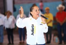 Desde mi trinchera seguiré insistiendo para garantizar el acceso a la salud: Julieta Gallardo