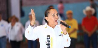 Desde mi trinchera seguiré insistiendo para garantizar el acceso a la salud: Julieta Gallardo