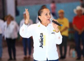 Desde mi trinchera seguiré insistiendo para garantizar el acceso a la salud: Julieta Gallardo