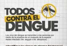 Gobierno de Morelia emite recomendaciones ante dengue