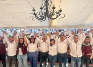 Mayoría de Morena en el Congreso, necesaria para orientar recursos a programas sociales: JP Celis