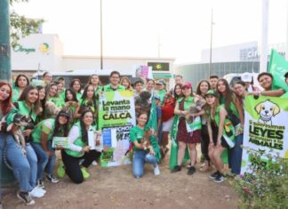 Buscará “Neto” Núñez que maltrato animal sea delito grave en el país