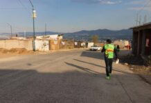 Transformará “Neto” Núñez votos verdes en árboles sembrados