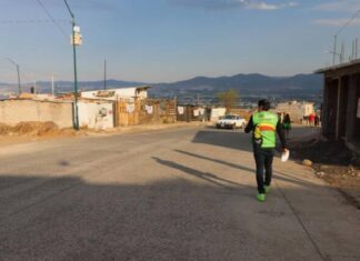 Transformará “Neto” Núñez votos verdes en árboles sembrados