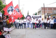 Vamos caminando sin miedo para recuperar a México: Araceli Saucedo