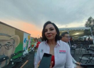 Priístas deben mostrar compromiso con su partido: Adriana Hernández