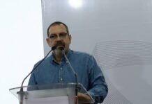 Más de 24 mil hectáreas de bosque, dañadas por incendios