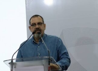 Más de 24 mil hectáreas de bosque, dañadas por incendios