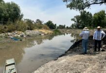 AVANZA EL MANTENIMIENTO DE LOS MANANTIALES EN EL LAGO DE PÁTZCUARO