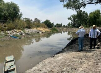 AVANZA EL MANTENIMIENTO DE LOS MANANTIALES EN EL LAGO DE PÁTZCUARO