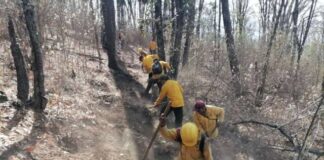 HELICÓPTERO CON HELIBALDE ATIENDE INCENDIO FORESTAL EN PÁTZCUARO