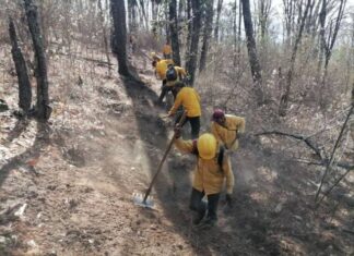 HELICÓPTERO CON HELIBALDE ATIENDE INCENDIO FORESTAL EN PÁTZCUARO