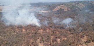 HELICÓPTERO SOBREVUELA INCENDIO FORESTAL EN JIMÉNEZ; CONTINÚA ATENCIÓN POR TIERRA