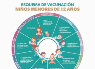 VACUNACIÓN A NIÑAS Y NIÑOS ESTE FIN DE SEMANA EN EL FESTIVAL DE ORIGEN