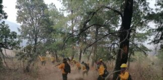 BRIGADISTAS CONTROLAN INCENDIO FORESTAL EN MORELIA Y ATIENDEN 9 MÁS EN OTROS MUNICIPIOS