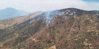 SOBREVUELAN INCENDIO FORESTAL EN PURÉPERO Y ZACAPU; BRIGADAS ATIENDEN POR TIERRA