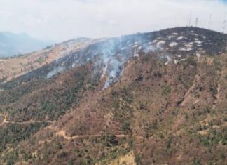SOBREVUELAN INCENDIO FORESTAL EN PURÉPERO Y ZACAPU; BRIGADAS ATIENDEN POR TIERRA