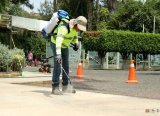 ZOOLÓGICO DE MORELIA, PIONERO EN PURIFICACIÓN DEL AIRE