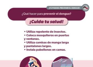 ¿CUÁLES SON LOS SÍNTOMAS DEL DENGUE Y CUÁNTO TARDAN EN APARECER?