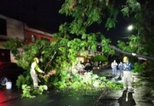 GOBIERNO MUNICIPAL, ALERTA POR LLUVIAS EN MORELIA; REPORTA AFECTACIONES MENORES