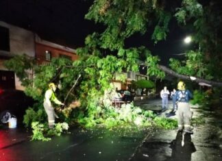 GOBIERNO MUNICIPAL, ALERTA POR LLUVIAS EN MORELIA; REPORTA AFECTACIONES MENORES