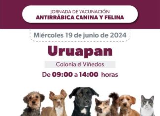 SSM VACUNARÁ CONTRA LA RABIA A PERROS Y GATOS EN ESTAS COLONIAS DE URUAPAN