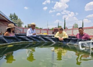 AVANZA PROYECTO ACUÍCOLA MIGRANTE PARA EL RESCATE DEL PESCADO BLANCO
