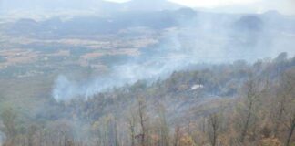 MÁS DE 100 BRIGADISTAS FORESTALES ATIENDEN CINCO INCENDIOS EN MICHOACÁN