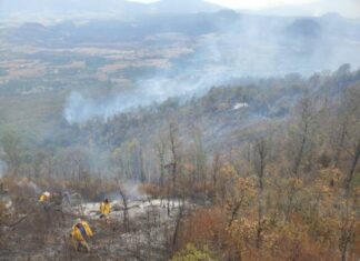 MÁS DE 100 BRIGADISTAS FORESTALES ATIENDEN CINCO INCENDIOS EN MICHOACÁN