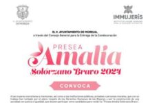 IMMUJERIS, INVITA A ACTIVISTAS A POSTULARSE A LA PRESEA “AMALIA SOLÓRZANO BRAVO”
