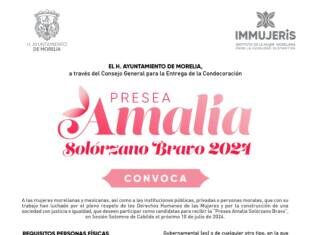 IMMUJERIS, INVITA A ACTIVISTAS A POSTULARSE A LA PRESEA “AMALIA SOLÓRZANO BRAVO”